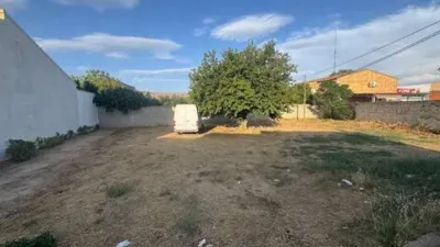 Terreno en venta en Casas-Ibáñez - Vista 5