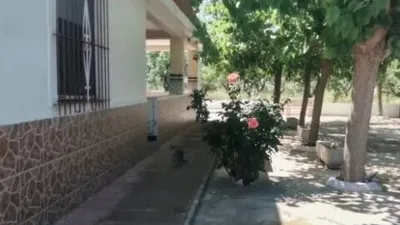 Chalet on Calle 62, Poligono 47, Parcela Aspe (Alicante) photo 6