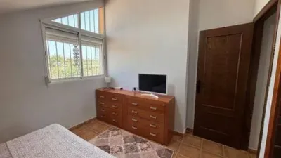 Chalet in Crevillent photo 31
