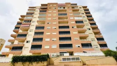 Apartment in Guardamar Playa photo 35