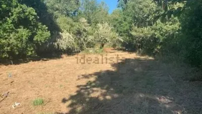 Chalet in San Cibrao Das Viñas (Capital) photo 4