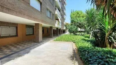Apartment in Centre photo 3
