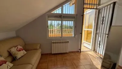 Chalet in Crevillent photo 42