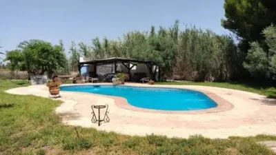 Casa – Elche, la Vallverda Alta - Vista 2