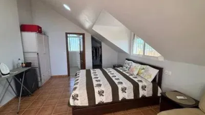 Chalet in Crevillent photo 38