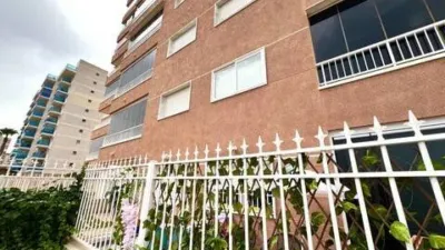 Apartment in Guardamar Playa photo 34