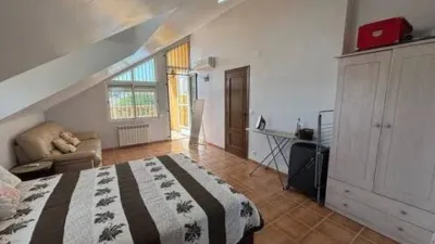 Chalet in Crevillent photo 41