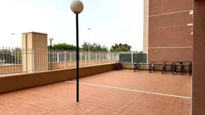 Apartment in Guardamar Playa photo 33