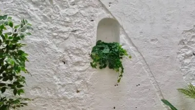 Apartment in Almussafes photo 38
