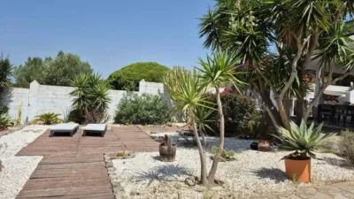 Rustic house in Barbate photo 2