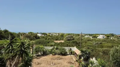 Rustic house in Barbate photo 40