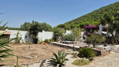 Rustic house in Barbate photo 11