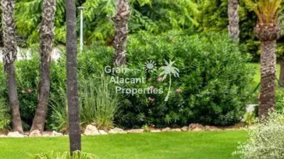 House in Gran Alacant photo 68