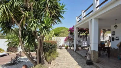 Rustic house in Barbate photo 26