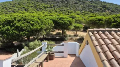 Rustic house in Barbate photo 42