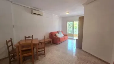 Pis – Torrevieja - Vista 4