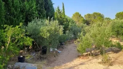 Chalet in Castalla photo 31