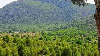 Chalet in Tibi photo 19
