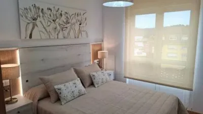Apartment on Rosalía de Castro Street photo 8