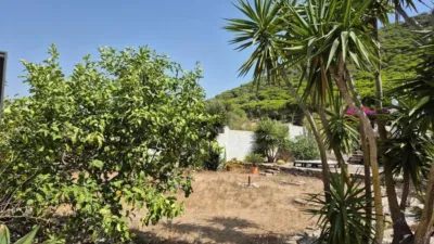 Rustic house in Barbate photo 7