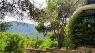 Chalet in Tibi photo 3