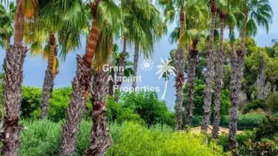 House in Gran Alacant photo 95