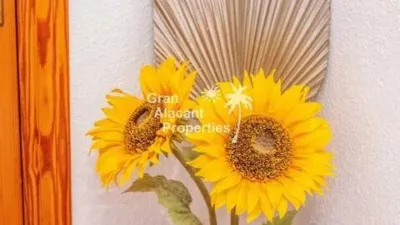 House in Gran Alacant photo 30