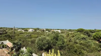 Rustic house in Barbate photo 39