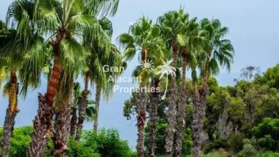 House in Gran Alacant photo 100