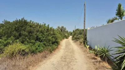 Rustic house in Barbate photo 3
