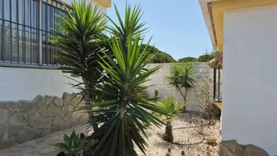 Rustic house in Barbate photo 23