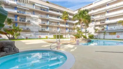 Apartment in Santa Margarida photo 27