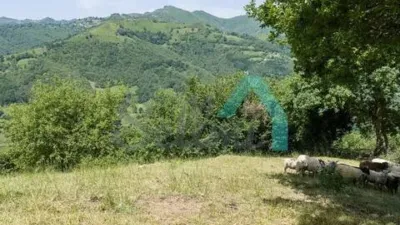 Chalet in Laviana photo 66
