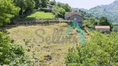 Chalet in Laviana photo 62
