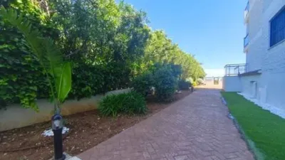 Apartment in Les Deveses-Monte Pego photo 29