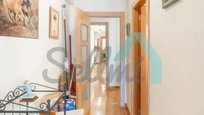 Apartment in El Entrego photo 30