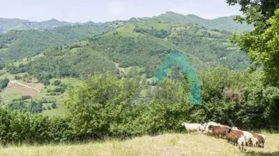 Chalet in Laviana photo 65