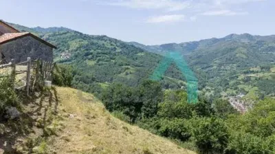 Chalet in Laviana photo 68