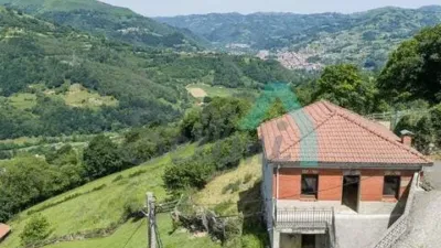 Chalet in Laviana photo 54