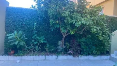 Townhouse in Algeciras photo 4