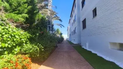 Apartment in Les Deveses-Monte Pego photo 28
