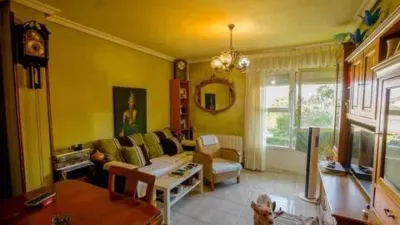 Apartment in Isla Playa photo 4