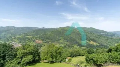Chalet in Laviana photo 37