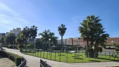 Apartment in Jerez de la Frontera photo 14
