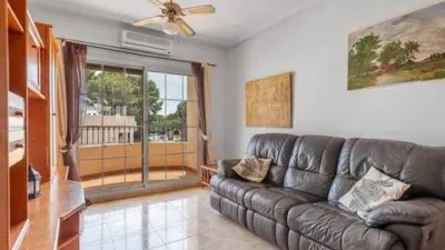 Piso – Orihuela - Más