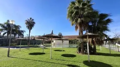 Apartment in Jerez de la Frontera photo 15