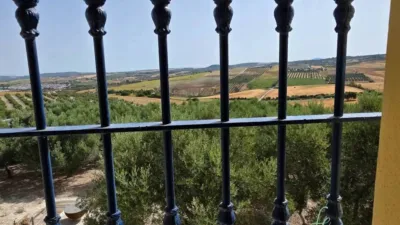 Rustic property in Arcos de la Frontera photo 30