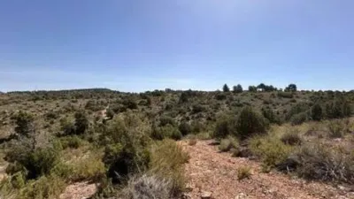 Rustic house in Pozohondo photo 9