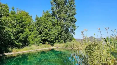 Rustic property in Cazalla de La Sierra photo 8