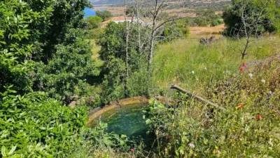 Rustic property in Cazalla de La Sierra photo 6